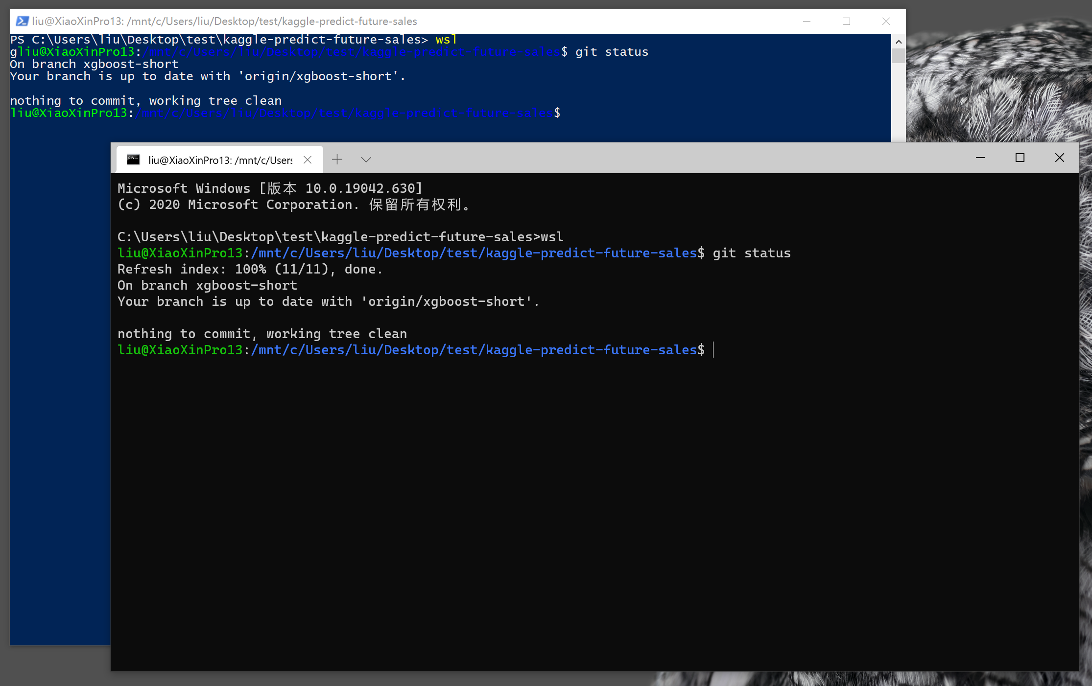 前为 Windows Terminal，后为 Powershell